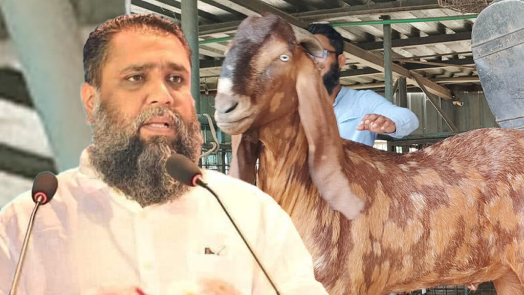 আলোচিত সাদিক অ্যাগ্রোর চেয়ারম্যান ইমরান গ্রেফতার