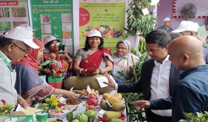 বনভূমির পরিমাণ কমে গেলে রাষ্ট্রে বিভিন্ন অনাকাঙ্খিত ঘটনা ঘটে: ডিসি