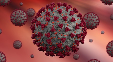 আরও ৭ জনের করোনা শনাক্ত