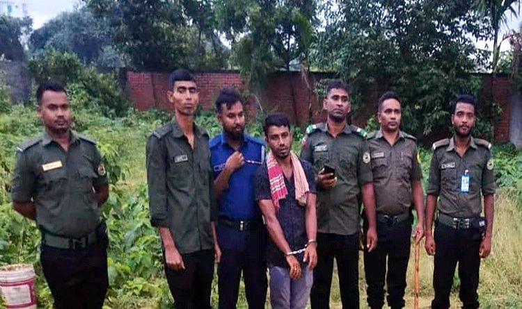 রূপগঞ্জে ঘোড়া জবাইয়ের অভিযোগে আটক এক, ১৫ দিনের কারাদণ্ড