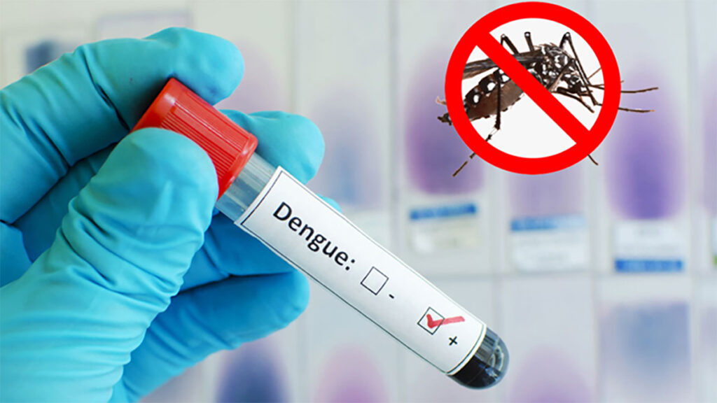 ডেঙ্গুতে আরও একজনের মৃত্যু, হাসপাতালে চার শতাধিক রোগী