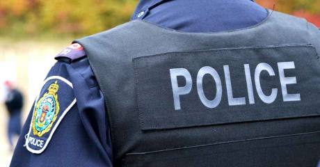 শায়েস্তাগঞ্জে পুলিশের পোষাক পরিধান করে পিকআপসহ ৭টি গরু ছিনতাই !