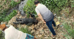 সিদ্ধিরগঞ্জে ক্যানেল থেকে অজ্ঞাত ব্যক্তির মরদেহ উদ্ধার
