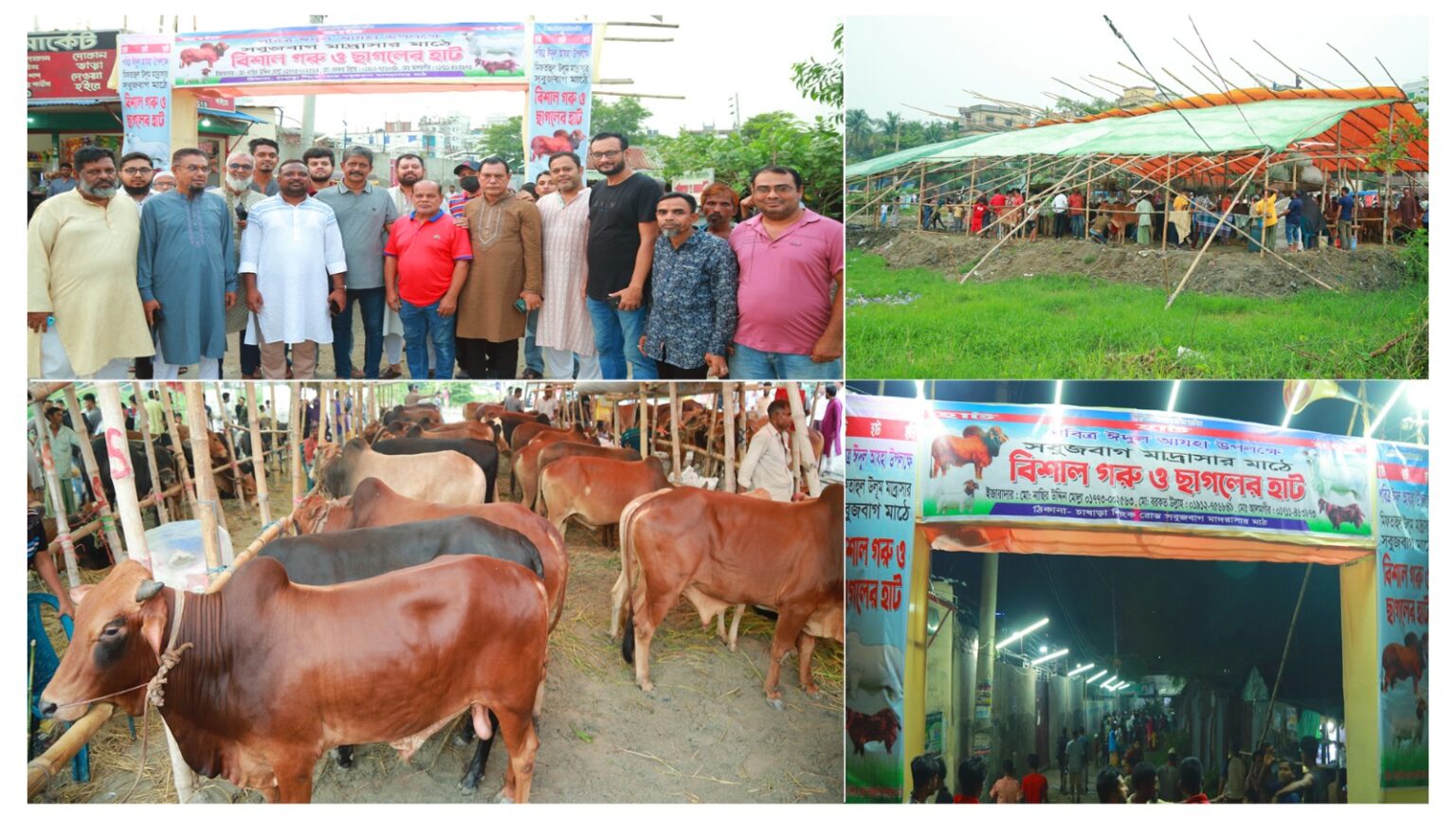 জমে উঠেছে চাষাড়া লিংক রোডের পাশে সবুজবাগ মাদ্রাসা মাঠে বিশাল গরু-ছাগলের হাট