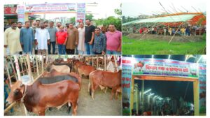 জমে উঠেছে চাষাড়া লিংক রোডের পাশে সবুজবাগ মাদ্রাসা মাঠে বিশাল গরু-ছাগলের হাট