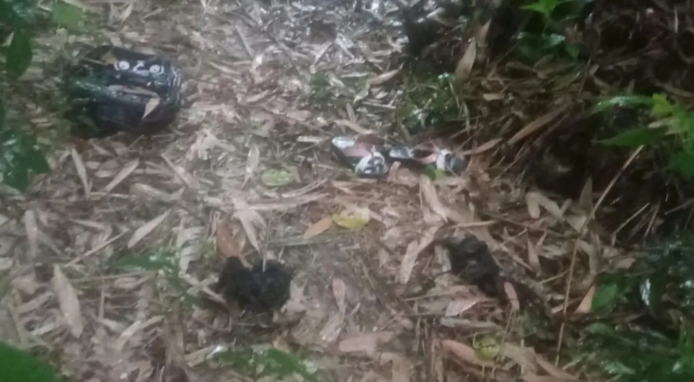 স্কুল থেকে টিসি দেওয়ার পর ছাত্রী নিখোঁজ, ঝোপে মিলল খণ্ড-বিখণ্ড মরদেহ