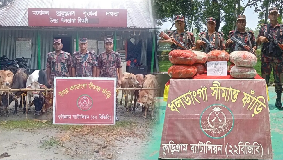 কুড়িগ্রাম সীমান্তে ৫৩ কেজি গাঁজাসহ ২৬ লাখ টাকার ভারতীয় পণ্য জব্দ