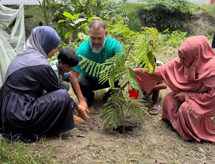 সুমিলপাড়া সরকারি প্রাথমিক বিদ্যালয়ে বৃক্ষরোপণ কর্মসূচির উদ্বোধন করেন অ্যাড. শাহ আলম মানিক