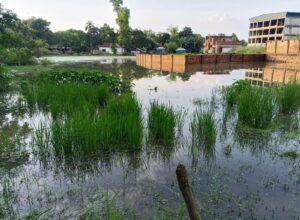 শ্রীপুরে কারখানার কারণে জলাবদ্ধতায় নাজেহাল এলাকাবাসী, ইউএনও’র কাছে স্মারকলিপি