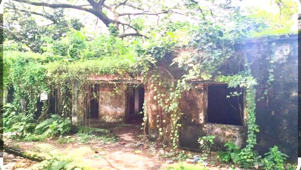 নেছারাবাদে জামায়াত নেতা শফিকুলের বিরুদ্ধে হিন্দুদের জমি দখল ও হয়রানির গুরুতর অভিযোগ: প্রশাসনের হস্তক্ষেপ দাবি