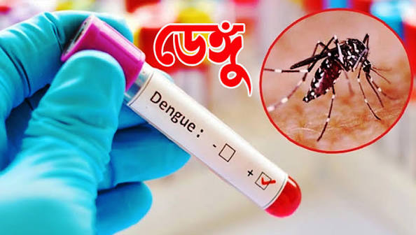 ডেঙ্গুতে আরো ৮ জনের মৃত্যু, হাসপাতালে ১৭৩৩